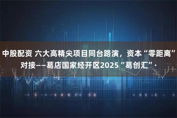 中股配资 六大高精尖项目同台路演，资本“零距离”对接——葛店国家经开区2025“葛创汇”·