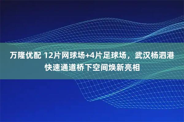 万隆优配 12片网球场+4片足球场，武汉杨泗港快速通道桥下空间焕新亮相