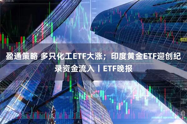 盈通策略 多只化工ETF大涨；印度黄金ETF迎创纪录资金流入丨ETF晚报