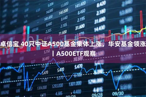 卓信宝 40只中证A500基金集体上涨，华安基金领涨丨A500ETF观察
